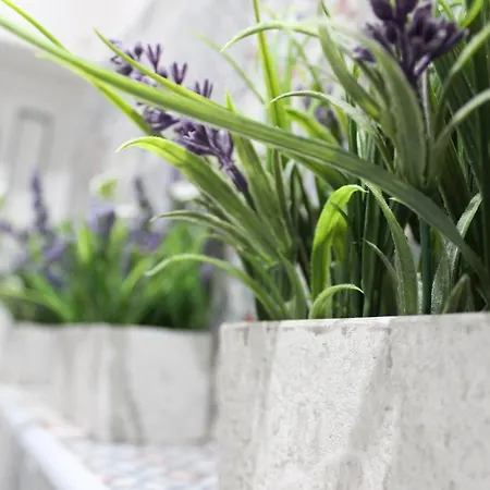 Zaro Frühstückspension Catanzaro