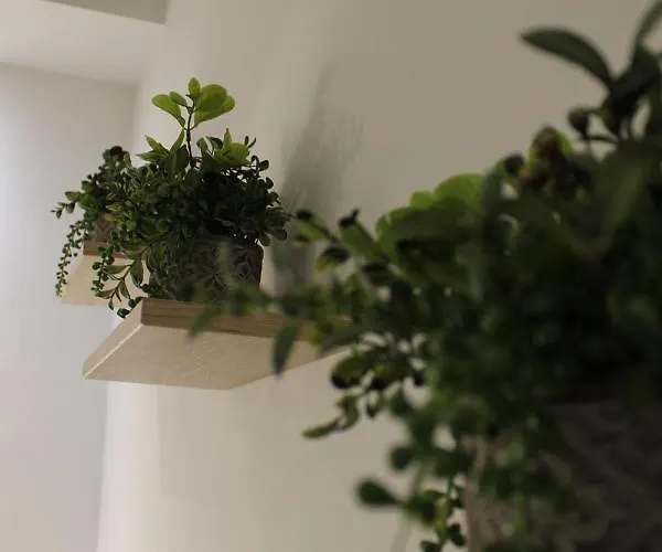 Alojamento de Acomodação e Pequeno-almoço Zaro Catanzaro