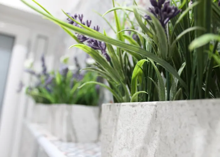 Zaro Alojamento de Acomodação e Pequeno-almoço Catanzaro